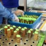 Resep Putu Bambu Jajanan Tradisional dengan Aroma Nusantara