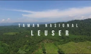 Taman Leuser, Surga Rimba Sumatera yang Menyimpan Pesona Liar_11zon Taman Leuser, Surga Rimba Sumatera yang Menyimpan Pesona Liar