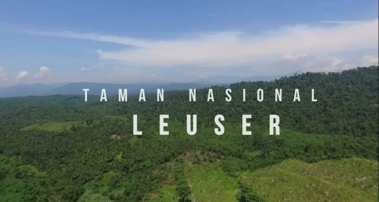 Taman Leuser, Surga Rimba Sumatera yang Menyimpan Pesona Liar