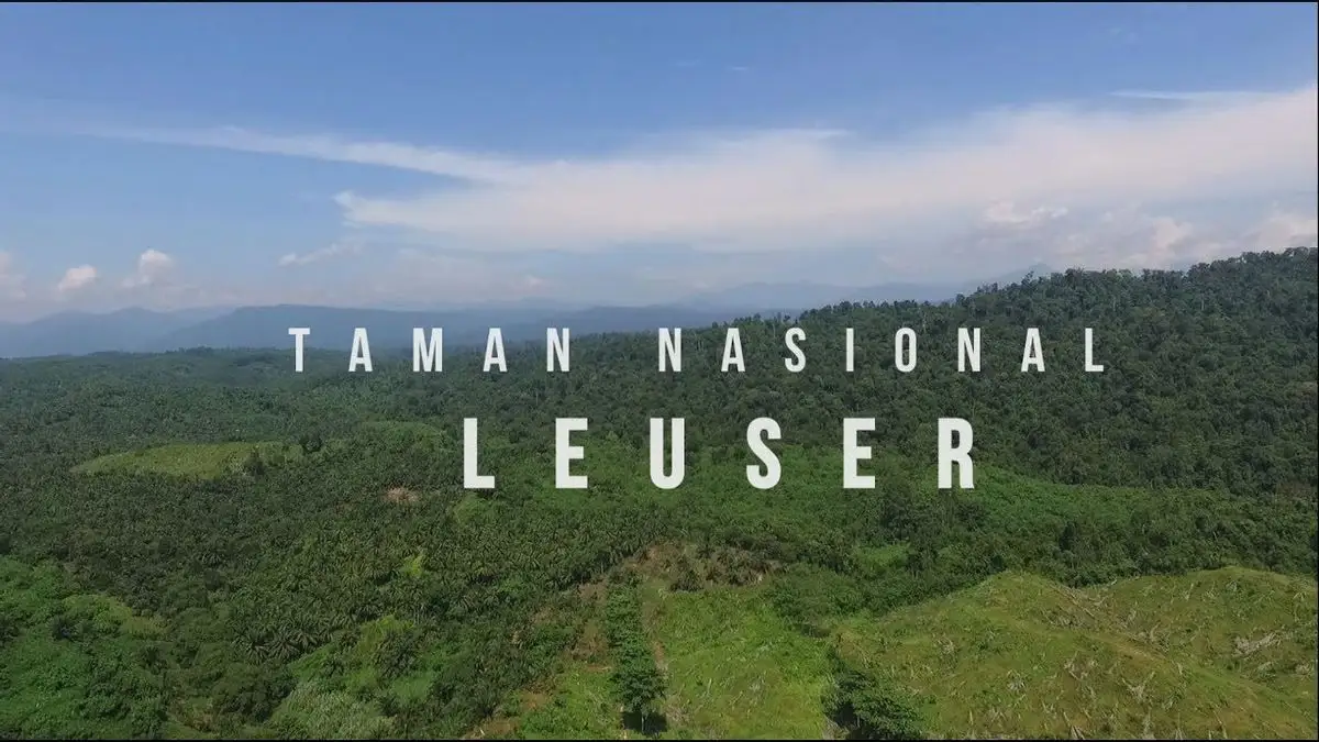 Taman Leuser, Surga Rimba Sumatera yang Menyimpan Pesona Liar